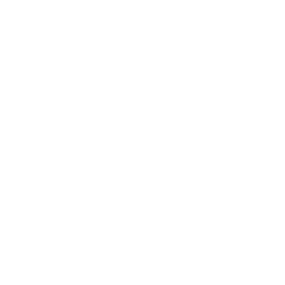 Project Beast – modernes Logo für eine Fitness- und Coaching-Plattform mit Fokus auf individuelle Transformation.